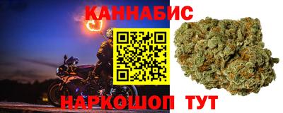 крисы Краснодар